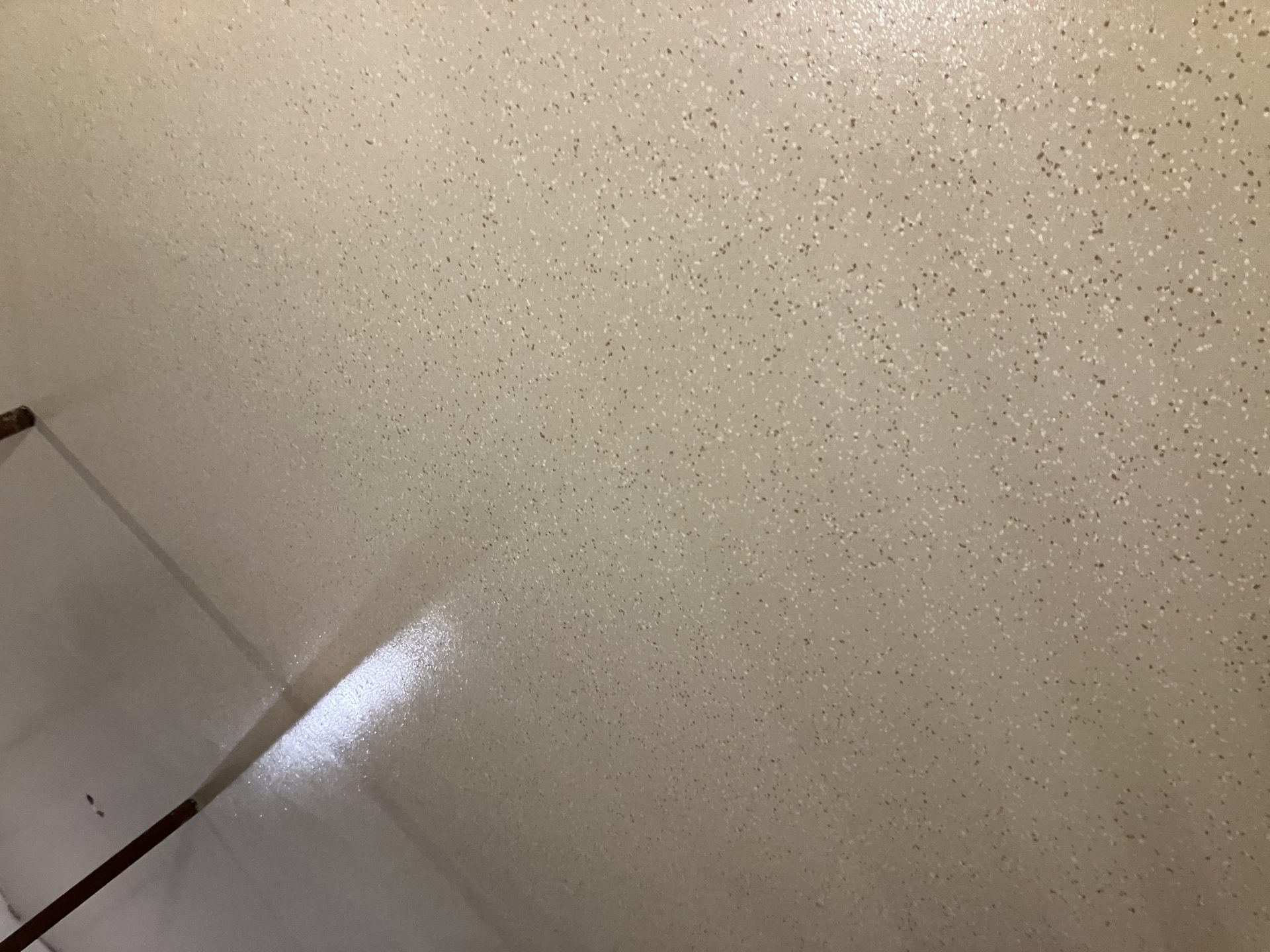 Basement Cream Flake Epoxy Close-Up